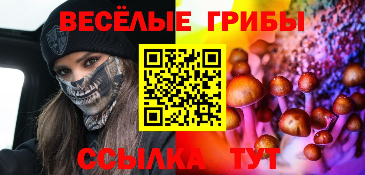 Псилоцибиновые грибы Psilocybine cubensis Волгодонск