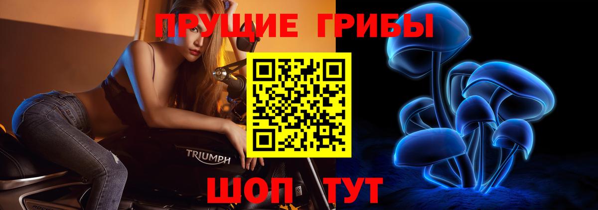 Галлюциногенные грибы ЛСД  Галлюциногенные грибы мицелий  Вход с VPN  Волгодонск 